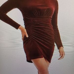 Express velvet brown dress